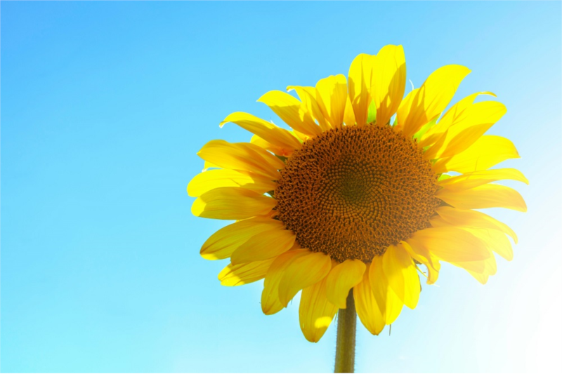 8 Warm Winter Destinations for Canadians – Visa-Free Travel